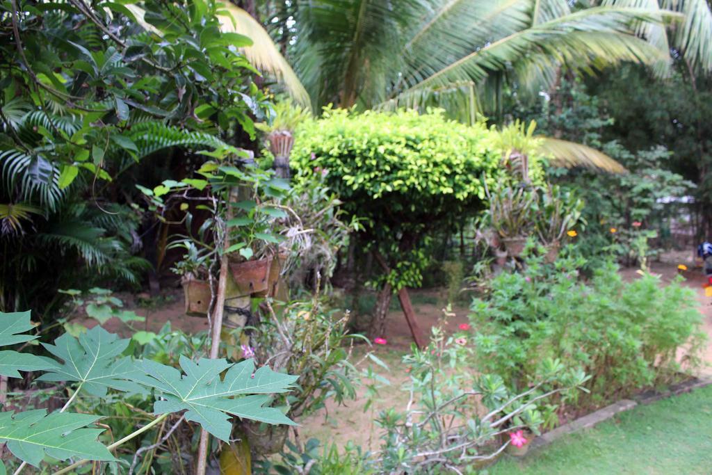 Anura Home Stay كالوتارا المظهر الخارجي الصورة